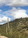 Stonehedge Ranch Road photo